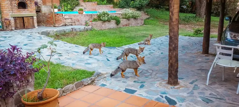 Quincho con parrilla en casa de alquiler Villa de Merlo